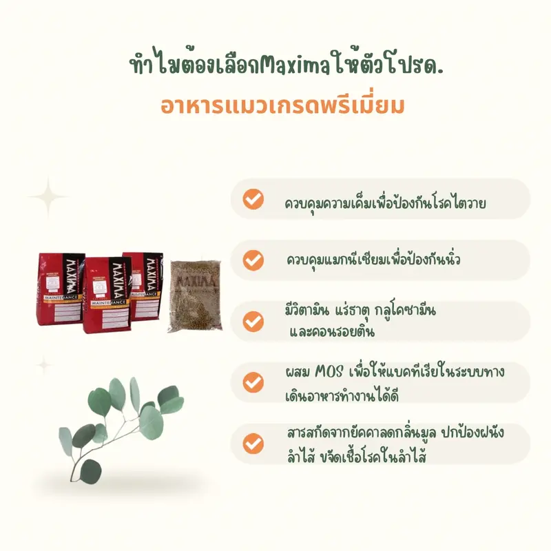 Maxima / Iconic อาหารแมว ควบคุมความเค็ม ป้องนิ่วและไต 1 KG - ภาพที่ 4