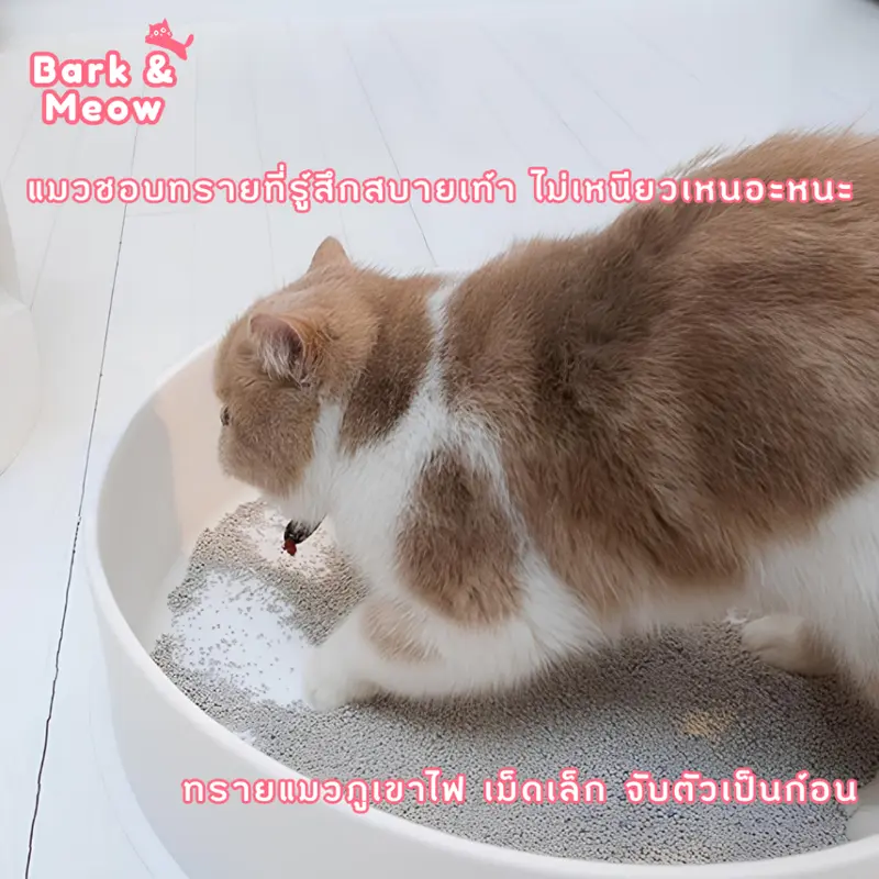 Miau Miau Premium Bentonite Cat Litter ทรายแมวเกรดพรีเมียม ดูดซับดีเยี่ยม กำจัดกลิ่นไว ไม่ฝุ่น #BM09 - ภาพที่ 5