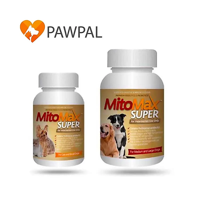 Mitomax Super Small Medium Exp.2028 ProbioticâĶ Mitomax Super Small Medium Exp.2028 ProbioticâĶ