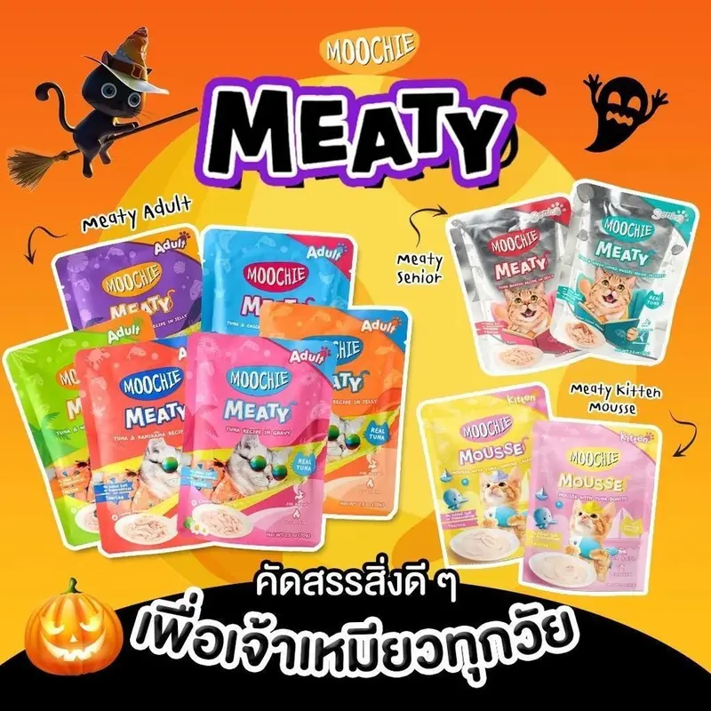 Moochie มูชี่ อาหารเปียกแมว 70g x12 ซอง ครบทุกรส แมวโตและลูกแมว ทูน่า ไก่ แซลมอน เกรดพรีเมียม - ภาพที่ 6