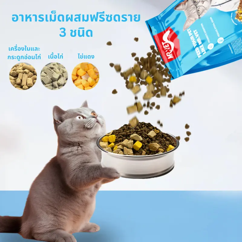 Mr.Vet อาหารเม็ดแมว Holistic มิสเตอร์เวท ขนาด 1 KG เหมาะสำหรับแมวทุกช่วงวัย - ภาพที่ 4