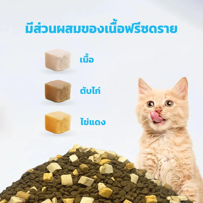 Mr.Vet อาหารเม็ดแมว Holistic มิสเตอร์เวท ขนาด 1 KG เหมาะสำหรับแมวทุกช่วงวัย - ภาพที่ 5
