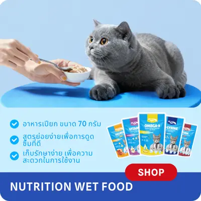 อาหารแมวเปียก อาหารเปียกแมว MRVET… - ภาพที่ 6