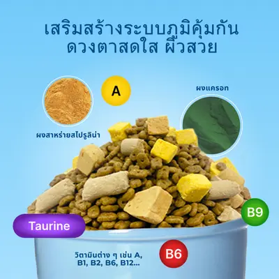 MRVET อาหารแมว Holistic T1&T2 1kg -… - ภาพที่ 6