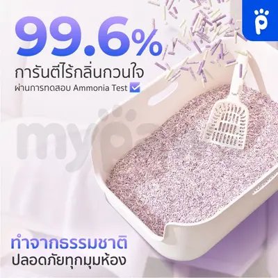 My Paws x Jiancha ทรายแมวเต้าหู้ กลิ่น ชาองุ่นเจี้ยนชา… - ภาพที่ 5