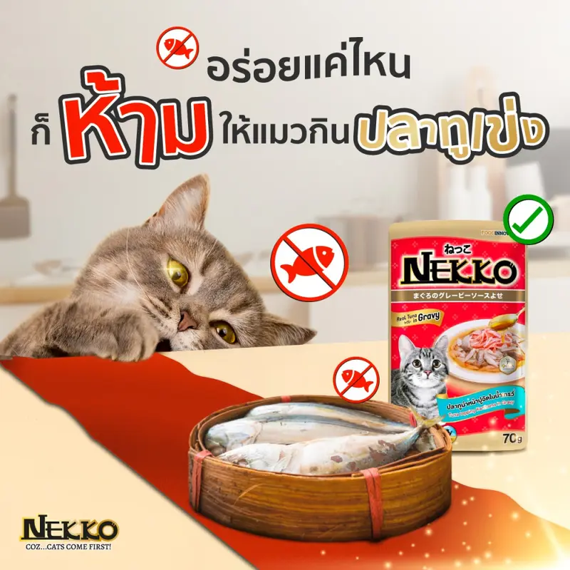 (ใช้โค้ดส่งฟรีได้) [ซอง ล็อตใหม่] Nekko เน็กโกะ อาหารเปียกแมว ไม่เติมเกลือ ทูน่า ไก่ หอย แซลมอน ปลาโอ แยกซอง 70 กรัม - ภาพที่ 4