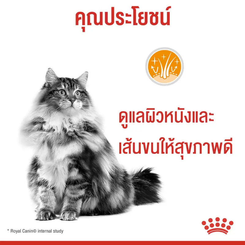 (New)Intense Beauty Pouch Gravy [12ซอง] อาหารเปียกแมวโตดูแลผิวหนังและเส้นขน อายุ12เดือนขึ้นไป(Wet Cat Food, โรยัล คานิน) - ภาพที่ 5