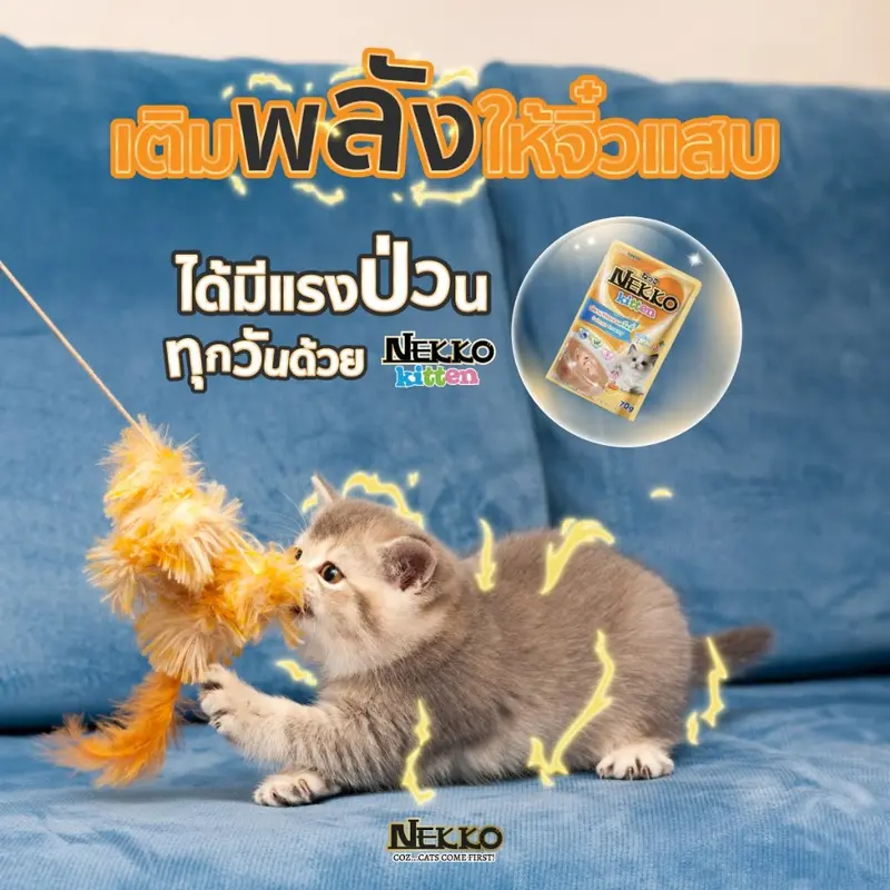 เน็กโกะ อาหารเปียกแมว แมวโต ลูกแมว Omega3 บำรุงขนและผิวหนัง 70g ยกโหล12ซอง - ภาพที่ 4