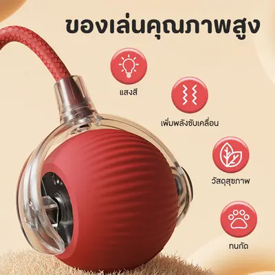 ลูกบอลแมว ของเล่นแมว ลูกบอลสุนัข หมุนได้360องศา… - ภาพที่ 6