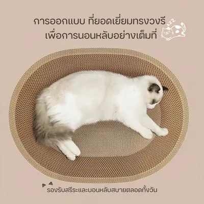 กระดาษลับเล็บ ที่ลับเล็บแมว ที่ฝนเล็บแมว ของเล่นแมว… - ภาพที่ 5