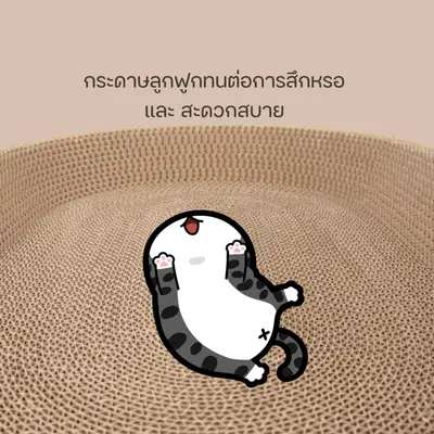 กระดาษลับเล็บ ที่ลับเล็บแมว ที่ฝนเล็บแมว ของเล่นแมว… - ภาพที่ 6