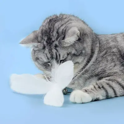 ของเล่นไม้กายสิทธิ์ ฐานดูด ขนนก ดูดซับน้ําได้ดี… - ภาพที่ 6