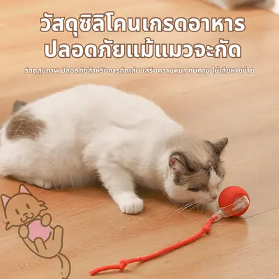 ลูกบอลแมว บอลแมวอัตโนมัติ ชาร์ตแบตได้ ของเล่นแมว… - ภาพที่ 6