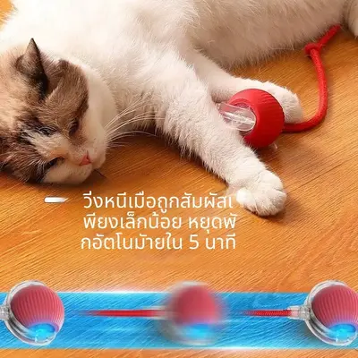 ลูกบอลของเล่นแมว ทนทานกัด มีเชือก… - ภาพที่ 5