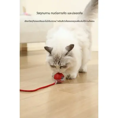 ลูกบอลของเล่นแมว ทนทานกัด มีเชือก… - ภาพที่ 6