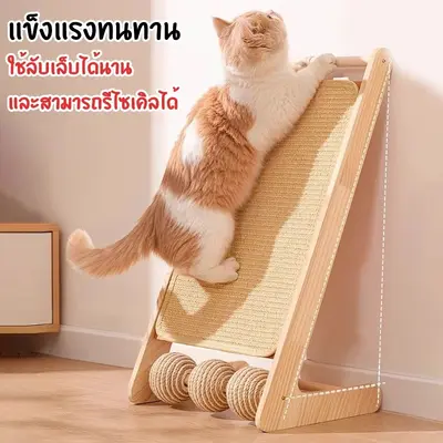 ที่ลับเล็บแมว ของเล่นแมว ฝนเล็บแมว ที่ฝนเล็บแมวลูกบอล… - ภาพที่ 5