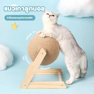 บอลลับเล็บ บอลลับเล็บแมว ที่ลับเล็บแมว ที่ฝนเล็บแมว… - ภาพที่ 6