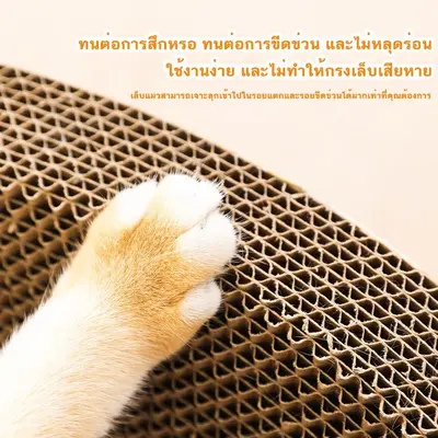 ที่ลับเล็บแมว รูปอ่าง ที่ฝนเล็บแมว ของเล่นแมว… - ภาพที่ 6