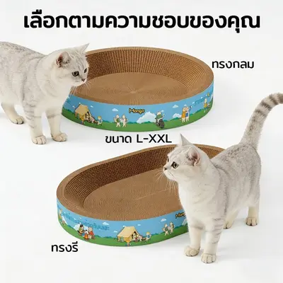 ที่ลับเล็บแมวทรงอ่าง ที่ฝนเล็บ พร้อมแคทนิปในตัว… - ภาพที่ 4