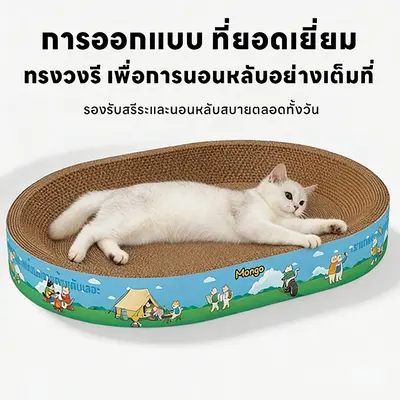 ที่ลับเล็บแมวทรงอ่าง ที่ฝนเล็บ พร้อมแคทนิปในตัว… - ภาพที่ 5