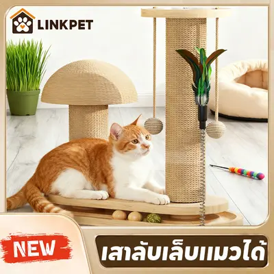 เสาลับเล็บแมวได้ ลับเล็บแมว ของเล่นแมว เสาฝนเล็บแมว… - ภาพที่ 3