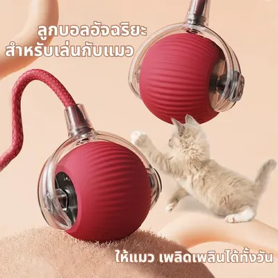 ลูกบอลแมว ลูกบอลแมวอัตโนมัติ แบบชาร์จไฟได้ ของเล่นแมว… - ภาพที่ 5