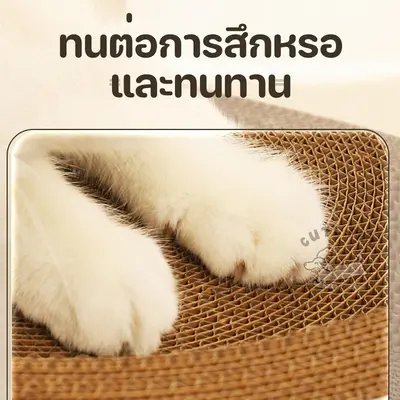 Pawcheer ที่ฝนเล็บแมว ที่ลับเล็บแมว รูปอ่าง ของเล่นแมว… - ภาพที่ 6