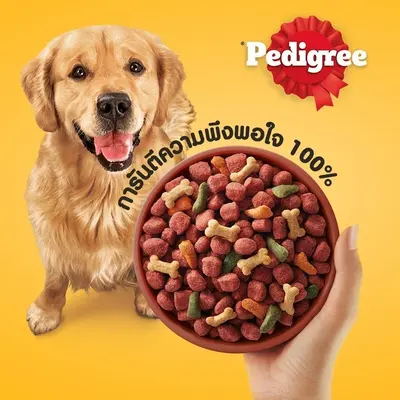 PEDIGREE เพดดิกรี อาหารเม็ดสุนัข สุนัขโต… - ภาพที่ 4