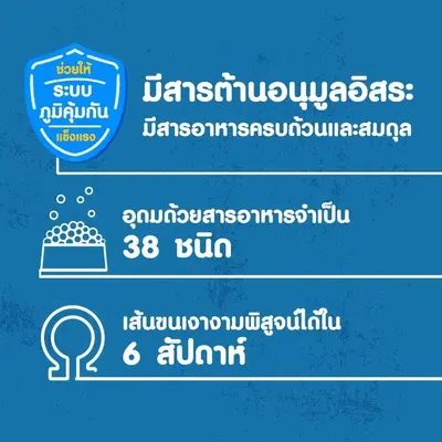 PEDIGREE เพดดิกรี อาหารเม็ดสุนัข สุนัขโต… - ภาพที่ 5