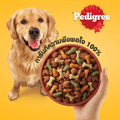 Pedigree เพดดิกรี อาหารสุนัขชนิดเม็ด ไซส์กระสอบ15-20kg - ภาพที่ 4