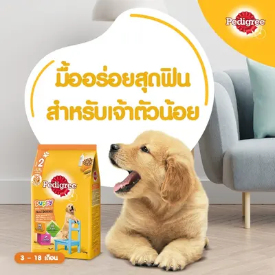 Pedigree เพดดิกรี อาหารสุนัขชนิดเม็ด ไซส์กระสอบ15-20kg - ภาพที่ 5