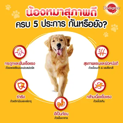 Pedigree เพดดิกรี อาหารสุนัขชนิดเม็ด ไซส์กระสอบ15-20kg - ภาพที่ 6