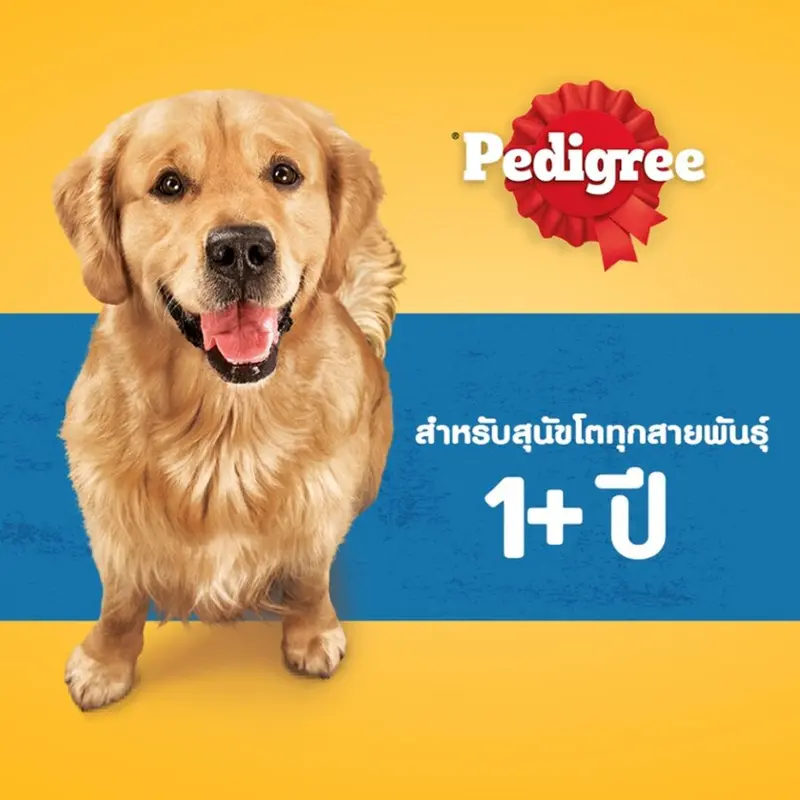 Pedigree Dog Foog Adult เพดดิกรี อาหารสุนัขแบบเม็ด… - ภาพที่ 4