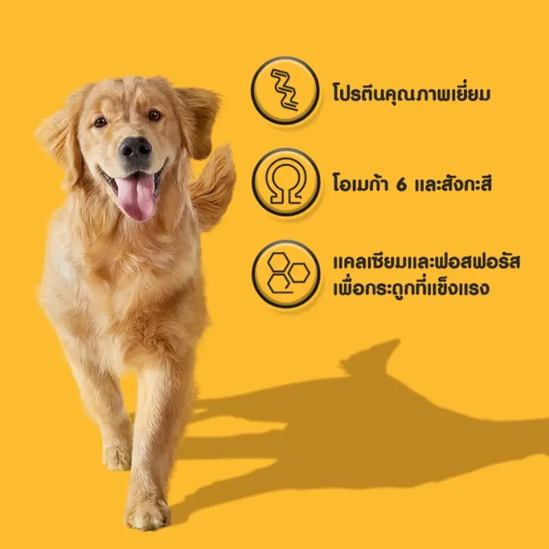 Pedigree Dog Foog Adult เพดดิกรี อาหารสุนัขแบบเม็ด… - ภาพที่ 5