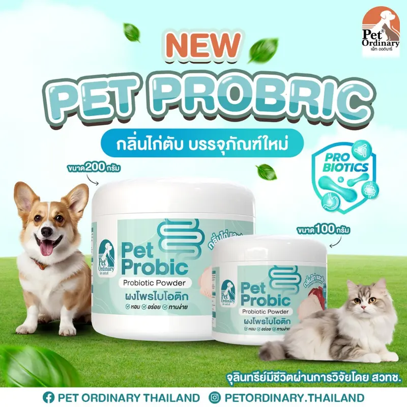 Pet Ordinary Pet Probic [แพคเกจใหม่] ผงโพรไบโอติกสุนัข ผงโพรไบโอติกแมว แก้ไขปัญหาระบบขับถ่าย