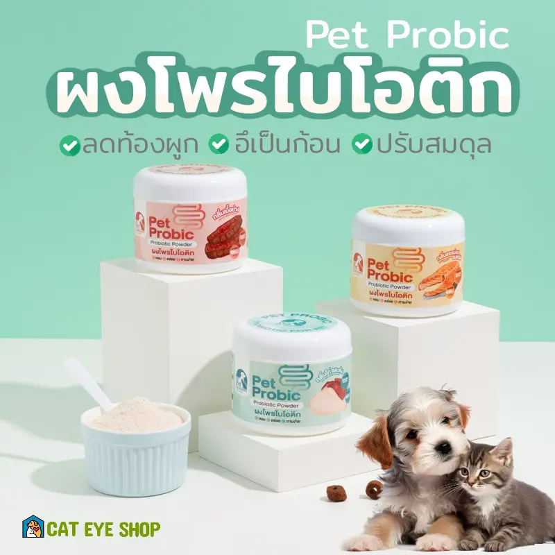 Pet Ordinary Pet Probic โปรไบโอติกแมว และสุนัข บรรเทาท้องเสีย ลดการถ่ายเหลว ปรับสมดุลลำไส้ - ภาพที่ 3