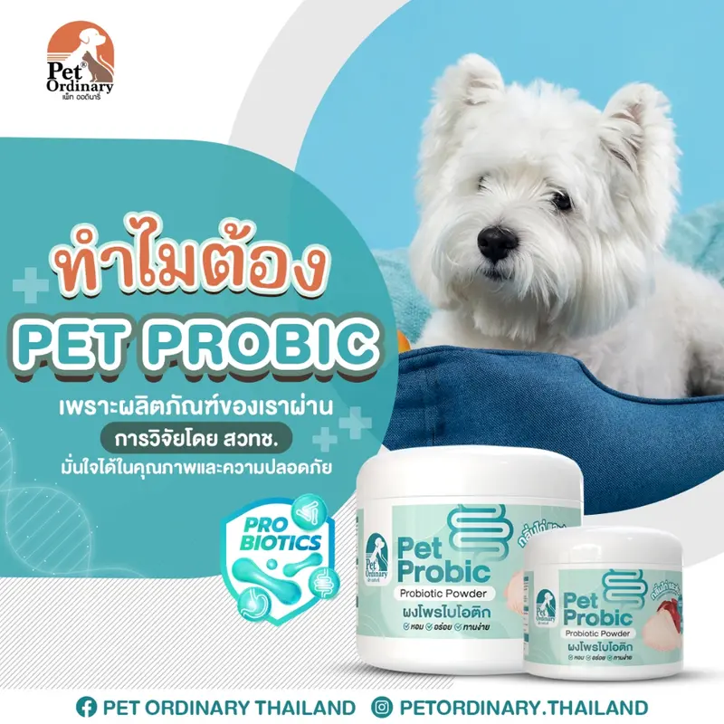 Pet Ordinary Pet Probic [แพคเกจใหม่] ผงโพรไบโอติกสุนัข แก้ปัญหาท้องเสีย ท้องผูก - ภาพที่ 3