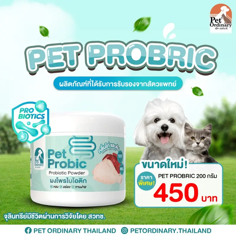 Pet Ordinary Pet Probic [แพคเกจใหม่] ผงโพรไบโอติกสุนัข แก้ปัญหาท้องเสีย ท้องผูก - ภาพที่ 6