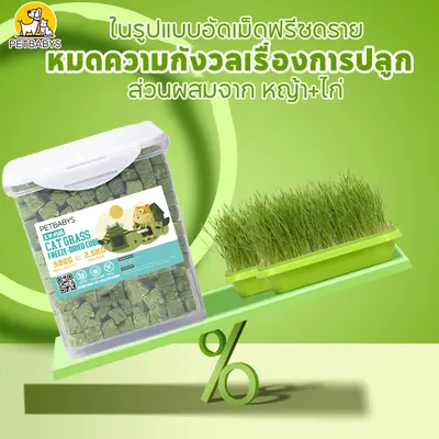 PETBABYS หญ้าแมวฟรีซดราย ขนมแมว 640กรัม… - ภาพที่ 3