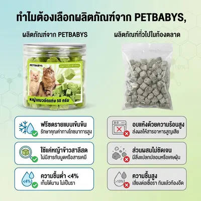 PETBABYS หญ้าแมวฟรีซดราย ขนมแมว 640กรัม… - ภาพที่ 6