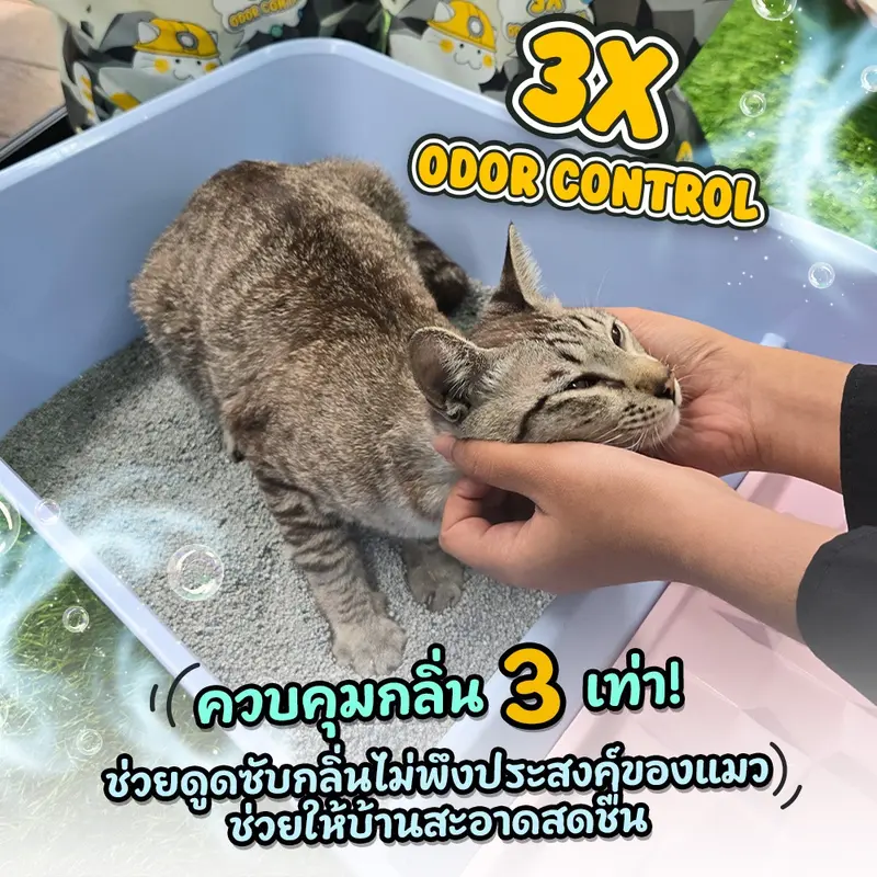 Petcho ทรายแมว ทรายแมวภูเขาไฟ 3-IN-1… - ภาพที่ 6