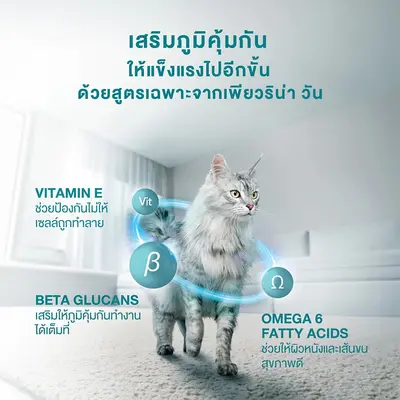 สูตรใหม่PURINA ONE อาหารแมว ขนาด 2.7kg. มี… - ภาพที่ 4
