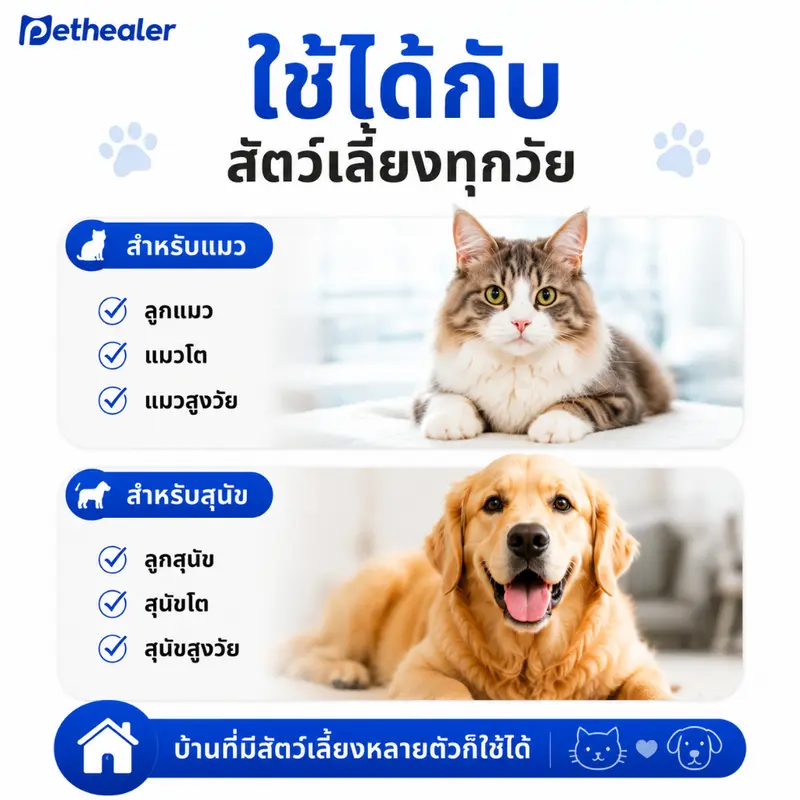 PETHEALER โปรไบโอติกสัตว์เลี้ยง 20 ซอง ดูแลลำไส้ สุนัขและแมว ใช้งานง่าย ผสมอาหารได้ - ภาพที่ 6