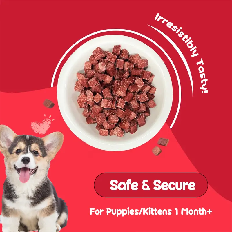 PETLOVRESขนมสุนัขขนมแมว 500 กรัม เนื้อวัวเม็ด ทำจากเนื้อวัว โปรตีนสูง ขนมขบเคี้ยวสำหรับสุนัข - ภาพที่ 6