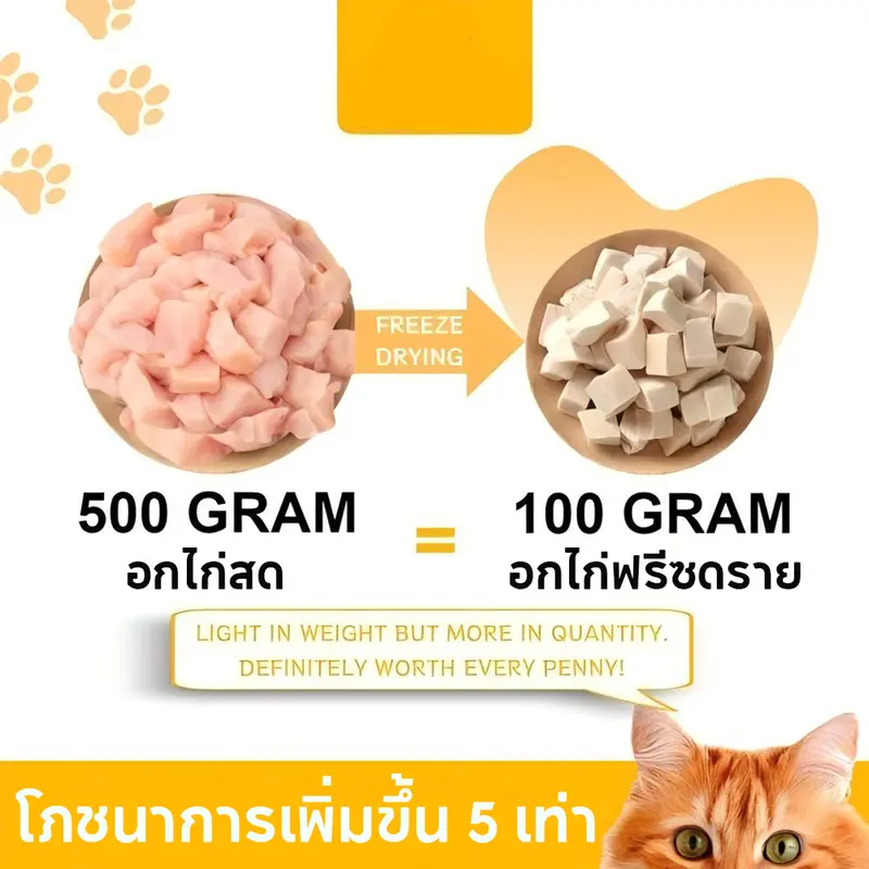PETLUSCI® ฟรีซดรายแมว อกไก่ฟรีซดราย 50กรัม อกไก่ฟรีซดรายเต๋า ขนมแมว ขนมหมา ไก่อบแห้ง กลิ่นหอม - ภาพที่ 4