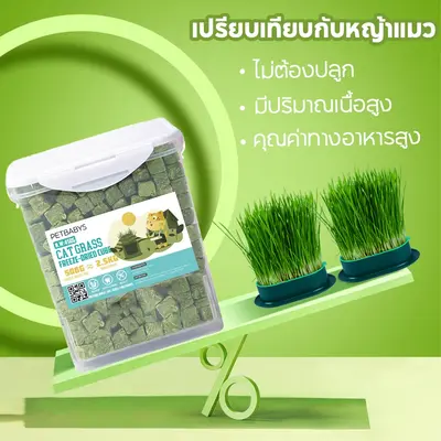 PETLUSCI หญ้าแมวฟรีซดราย ขนมแมว 630กรัม ผสมอกไก่แท้… - ภาพที่ 4