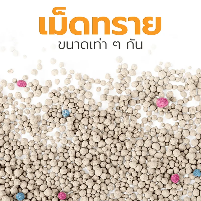 Petus ทรายเบนโทไนน์ ทรายแมว cat litter ขนาด 10ลิตร กลิ่นหอม ฝุ่นน้อย จับตัวเป็นก้อนไว 3ถุง และ 6ถุง - ภาพที่ 6
