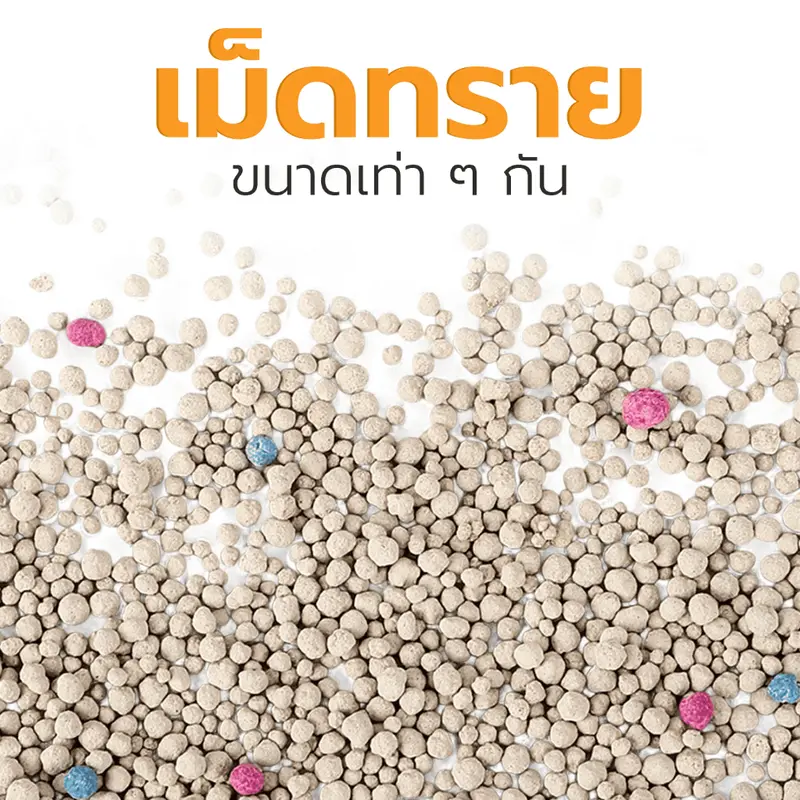 Petus Litter ทรายแมวเบนโทไนท์ 10 ลิตร 3 ถุง Cat Litter จับตัวเป็นก้อนไว เก็บกลิ่นได้ดี ไม่ติดเท้า - ภาพที่ 4
