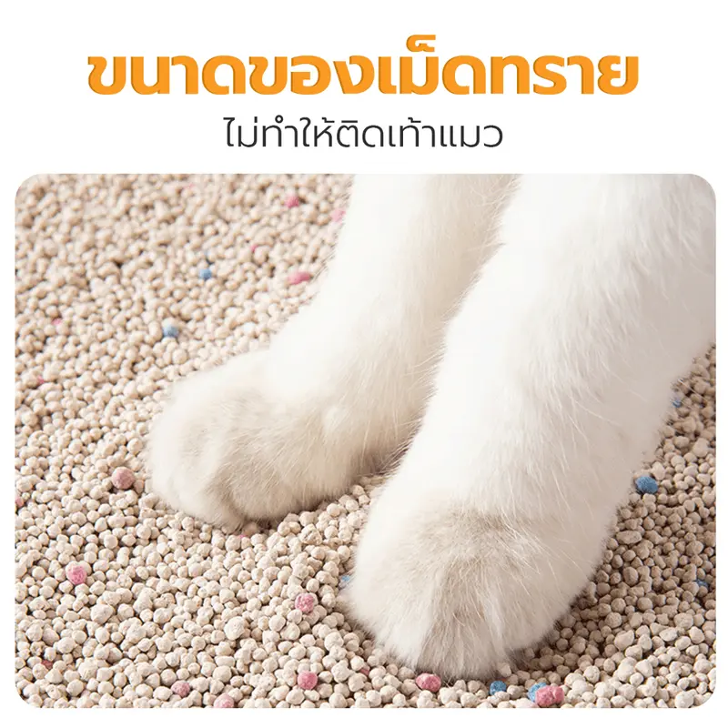 Petus Litter ทรายแมวเบนโทไนท์ 10 ลิตร 3 ถุง Cat Litter จับตัวเป็นก้อนไว เก็บกลิ่นได้ดี ไม่ติดเท้า - ภาพที่ 5