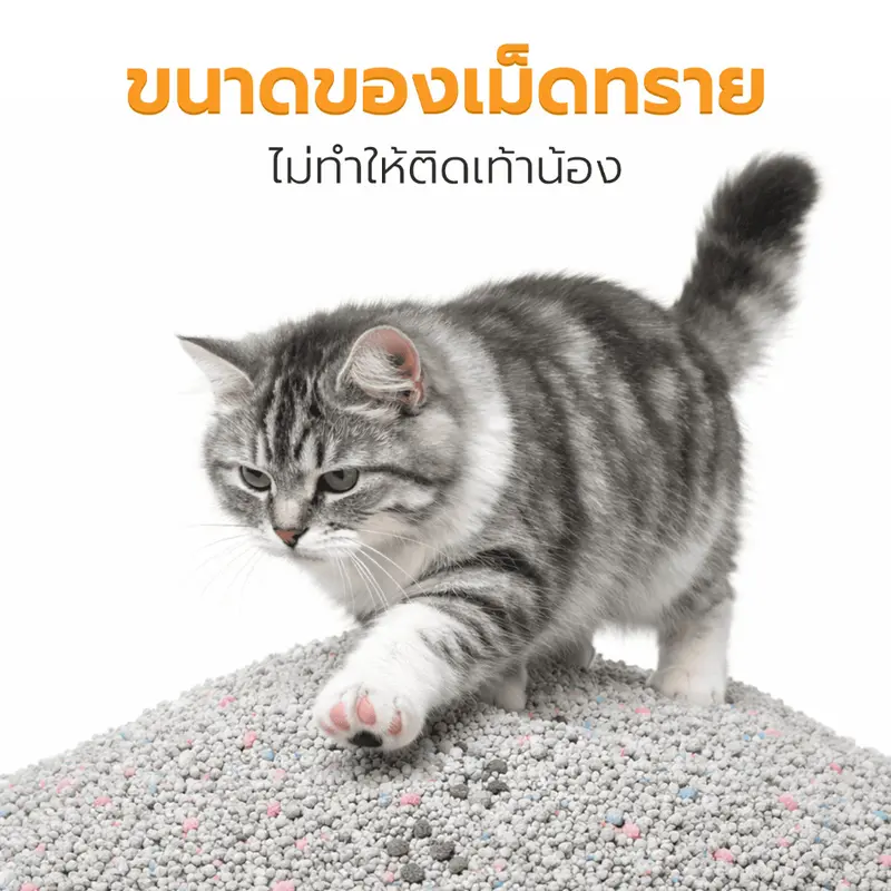 Petus Litter ทรายแมว 10 ลิตร ทรายแมวเบนโทไนท์ กลิ่นมัทฉะ Cat litter ควบคุมกลิ่นได้ดี 1 ถุง และ 3 ถุง - ภาพที่ 4